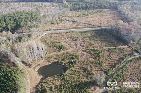 Fire Hill Ruffin Hunting & Timber Land - image 36