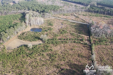 Fire Hill Ruffin Hunting & Timber Land - image 34