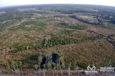 Fire Hill Ruffin Hunting & Timber Land - image 26