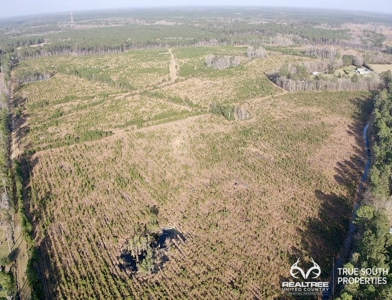 Fire Hill Ruffin Hunting & Timber Land - image 2