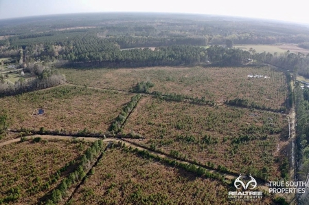 Fire Hill Ruffin Hunting & Timber Land - image 27