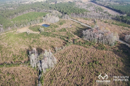 Fire Hill Ruffin Hunting & Timber Land - image 33