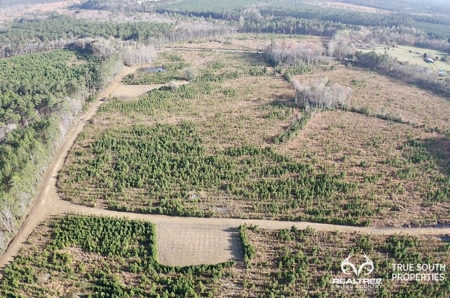 Fire Hill Ruffin Hunting & Timber Land - image 12