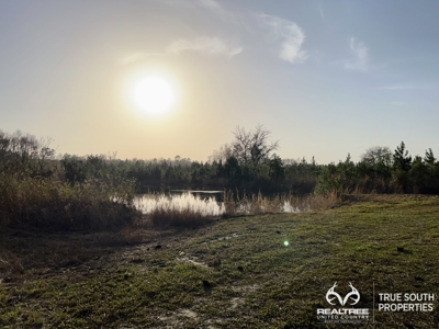 Fire Hill Ruffin Hunting & Timber Land - image 47