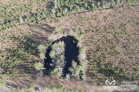Fire Hill Ruffin Hunting & Timber Land - image 31