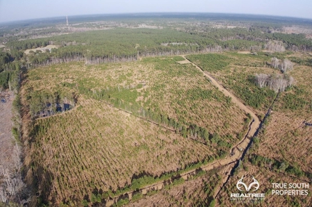 Fire Hill Ruffin Hunting & Timber Land - image 16