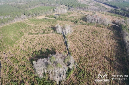 Fire Hill Ruffin Hunting & Timber Land - image 20