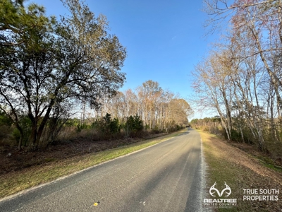 Fire Hill Ruffin Hunting & Timber Land - image 49