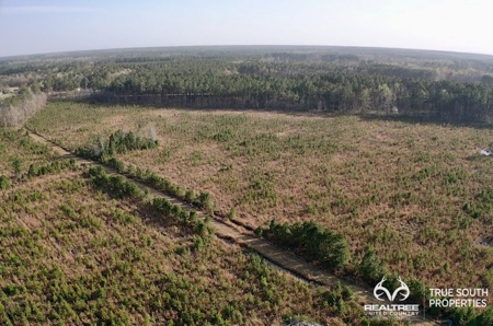 Fire Hill Ruffin Hunting & Timber Land - image 28