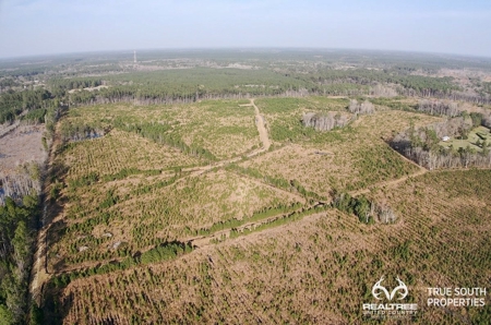 Fire Hill Ruffin Hunting & Timber Land - image 14