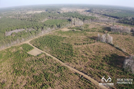Fire Hill Ruffin Hunting & Timber Land - image 32