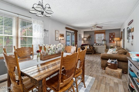 Country Home for sale 310 Dixon Springs Hay Carthage TN - image 22