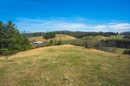 Historic Farmhouse with River Frontage in Floyd VA! - image 16