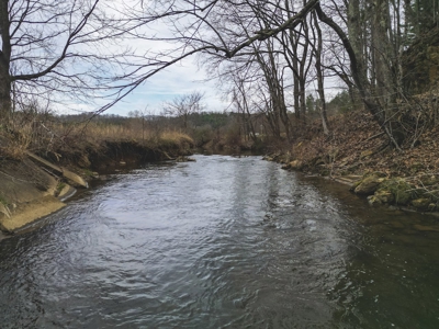 Historic Farmhouse with River Frontage in Floyd VA! - image 19