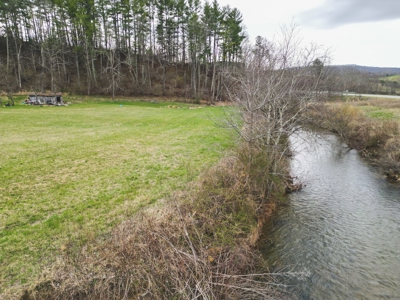 Historic Farmhouse with River Frontage in Floyd VA! - image 28