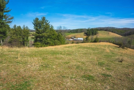 Historic Farmhouse with River Frontage in Floyd VA! - image 17