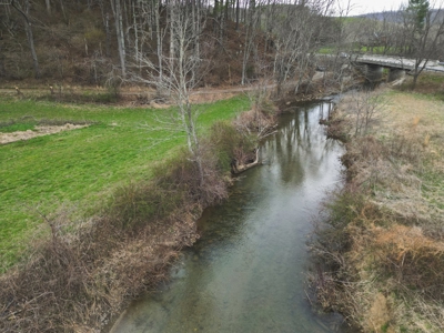 Historic Farmhouse with River Frontage in Floyd VA! - image 32