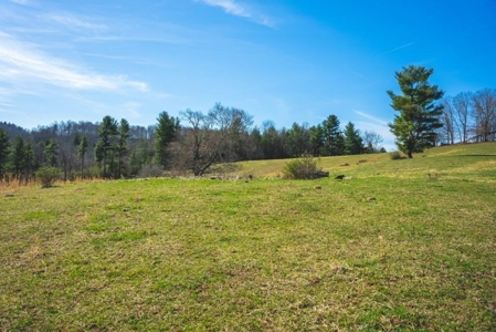 Historic Farmhouse with River Frontage in Floyd VA! - image 18