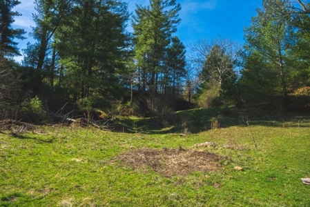 Historic Farmhouse with River Frontage in Floyd VA! - image 12
