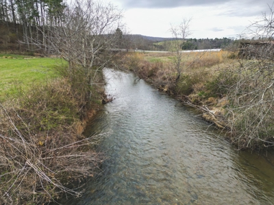 Historic Farmhouse with River Frontage in Floyd VA! - image 29