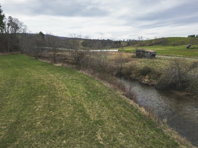 Historic Farmhouse with River Frontage in Floyd VA! - image 27