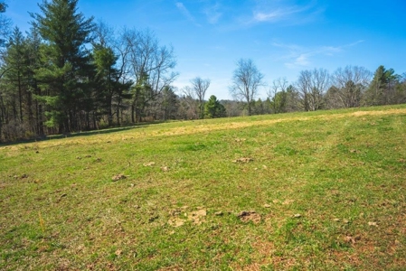 River Front Land for Sale in Floyd VA! - image 5