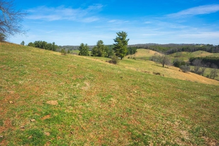 River Front Land for Sale in Floyd VA! - image 3