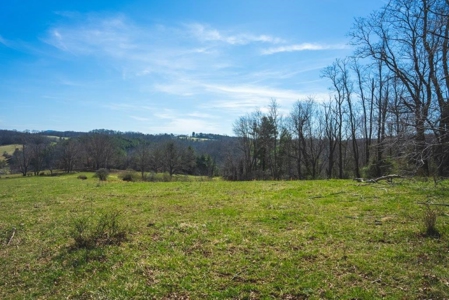 River Front Land for Sale in Floyd VA! - image 2