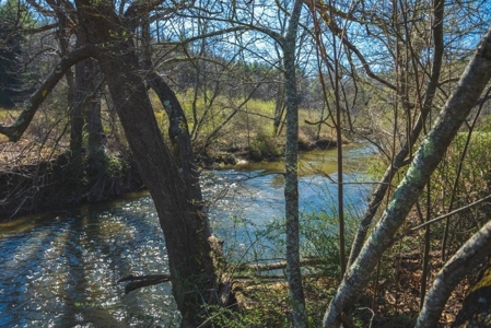River Front Land for Sale in Floyd VA! - image 9