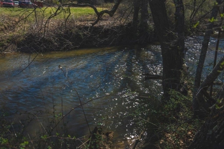 River Front Land for Sale in Floyd VA! - image 8