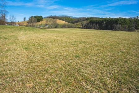 River Front Land for Sale in Floyd VA! - image 6