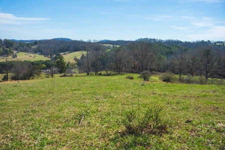 River Front Land for Sale in Floyd VA! - image 1