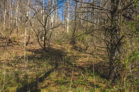Floyd VA River Front Land for Sale! - image 7