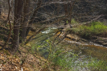 Floyd VA River Front Land for Sale! - image 5