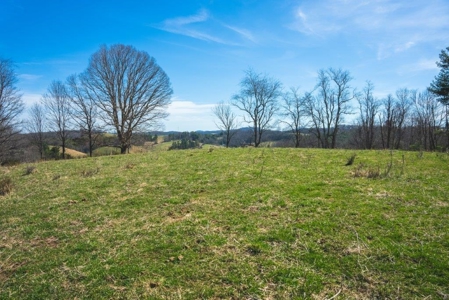 Floyd VA River Front Land for Sale! - image 1
