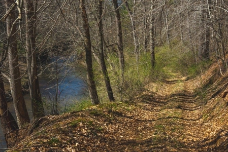 Floyd VA River Front Land for Sale! - image 3