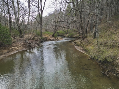 Floyd VA River Front Land for Sale! - image 16