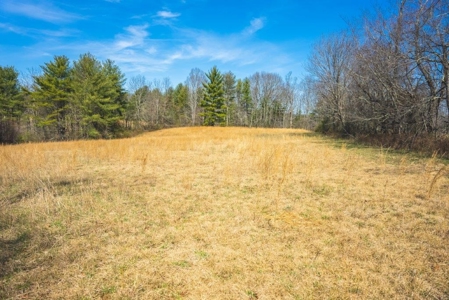 Floyd VA River Front Land for Sale! - image 11