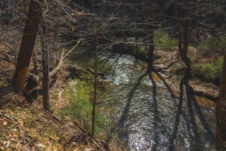Floyd VA River Front Land for Sale! - image 4