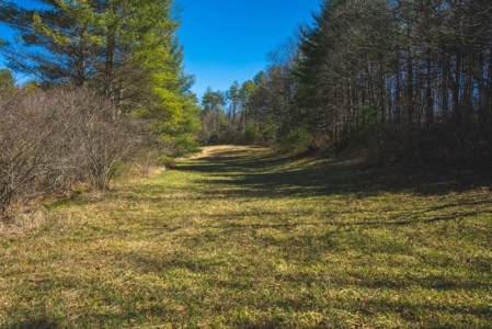 Floyd VA River Front Land for Sale! - image 9