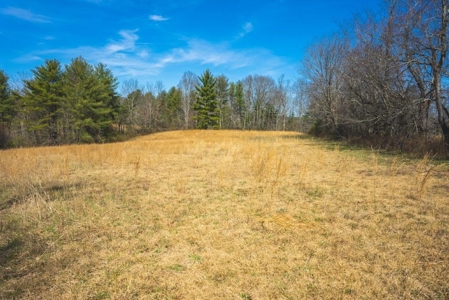 Floyd VA River Front Land for Sale! - image 10