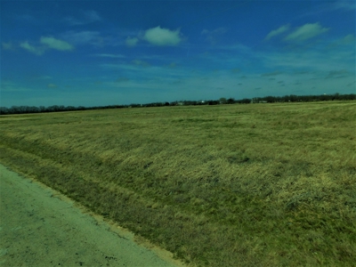 Land in Brown County Tx for Sale - image 3