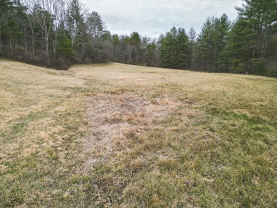 Recreational Land for Sale in Floyd VA! - image 14