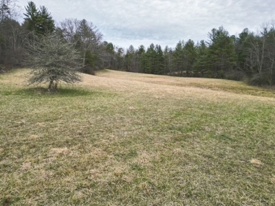 Recreational Land for Sale in Floyd VA! - image 13