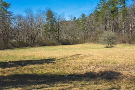 Recreational Land for Sale in Floyd VA! - image 3