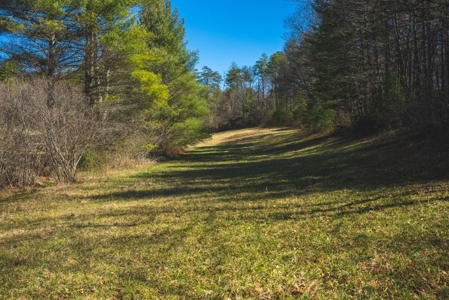 Recreational Land for Sale in Floyd VA! - image 2