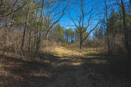 Recreational Land for Sale in Floyd VA! - image 10