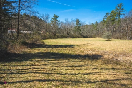 Recreational Land for Sale in Floyd VA! - image 5
