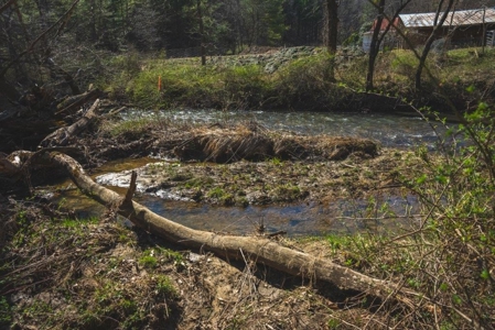 Recreational Land for Sale in Floyd VA! - image 6