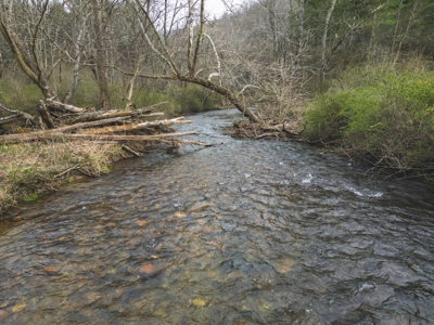 Recreational Land for Sale in Floyd VA! - image 16